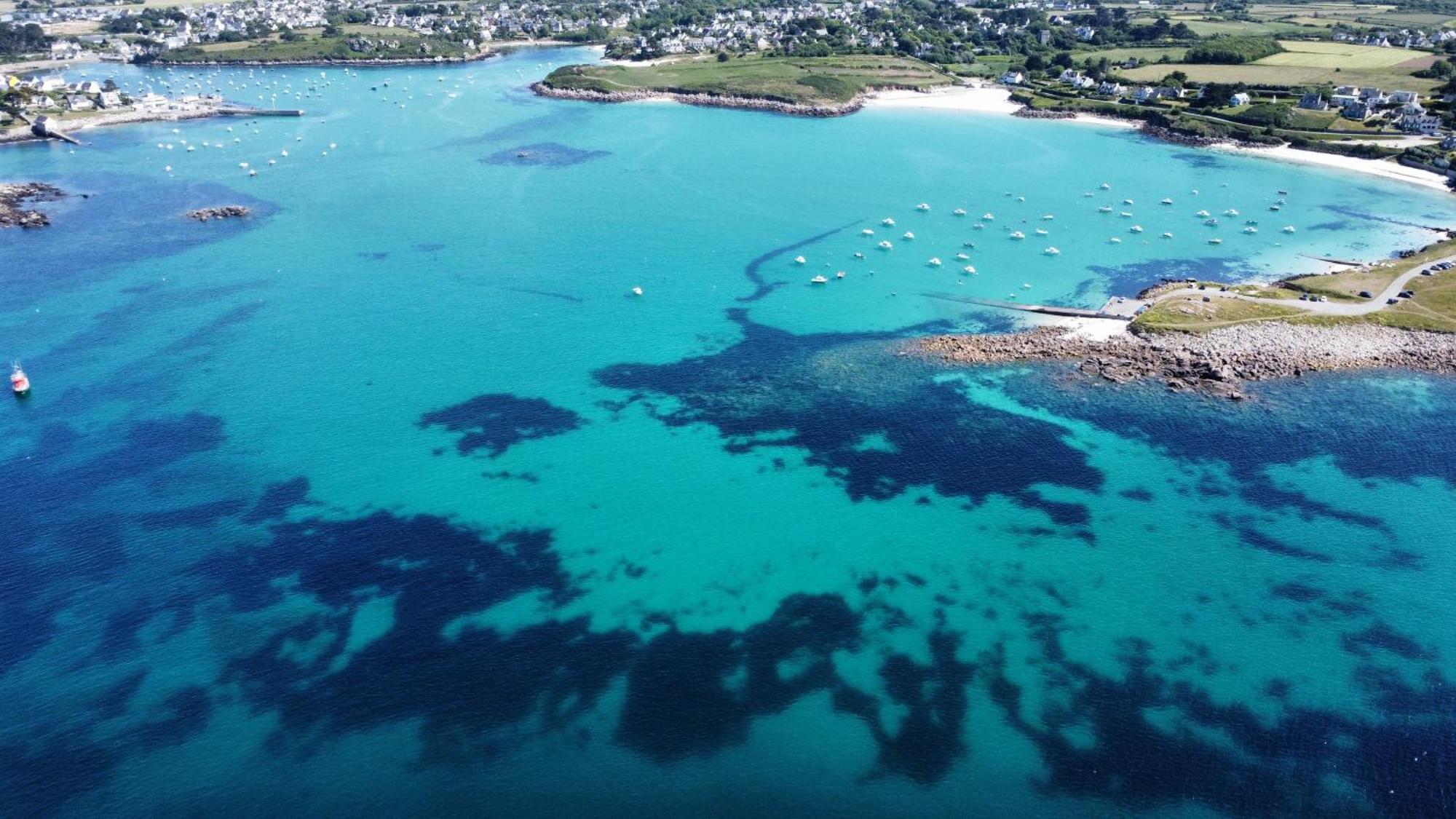 Roscaroc Enez Hir - Charmant T4 Proche Plage Ploudalmézeau Esterno foto